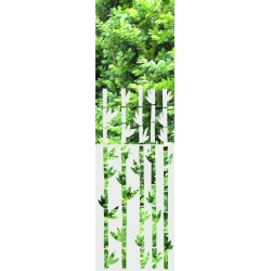 ROS23 59x135 naklejka na okno wzory roślinne - bambusy