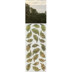 ROS51 59x135 naklejka na okno wzory roślinne - paprocie