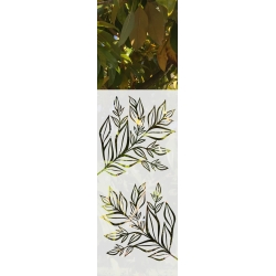 ROS7 59x135 naklejka na okno wzory roślinę - liście