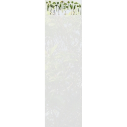 ROS65 59x200 naklejka na okno wzory roślinne - trawy i łączki