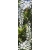 ROS41 59x200 naklejka na okno wzory roślinne - kwiaty i liście