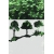 ROS98 50x47 naklejka na okno wzory roślinne - drzewa liściaste