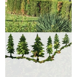 ROS100 70x47 naklejka na okno wzory roślinne - drzewa iglaste