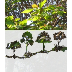 ROS98 70x47 naklejka na okno wzory roślinne - drzewa liściaste