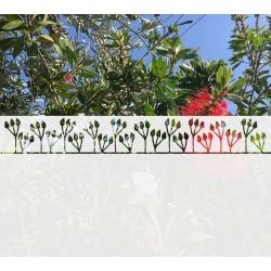 ROS58 90x47 naklejka na okno wzory roślinne - trawy i łączki