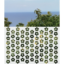 ROZ18 70x47 naklejka na okno wzory roślinne i zwierzęce - kwiaty