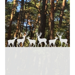 ROZ36 70x47 naklejka na okno wzory zwierzęce - sarny, jelenie, łosie