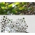 ROS13 90x47 naklejka na okno wzory roślinne - jagody