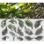 ROS51 90x47 naklejka na okno wzory roślinne - paprocie