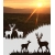 ROZ34 70x47 naklejka na okno wzory zwierzęce - sarny, jelenie, łosie
