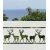 ROZ35 70x47 naklejka na okno wzory zwierzęce - sarny, jelenie, łosie